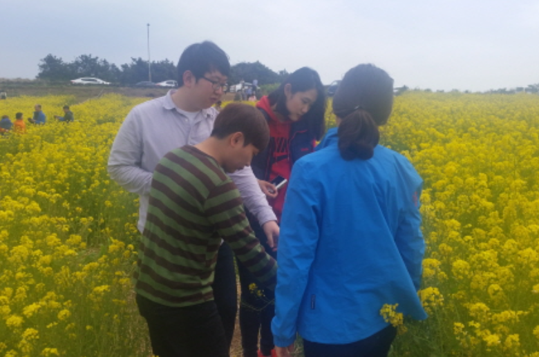 2015년 제주도 유채꽃밭