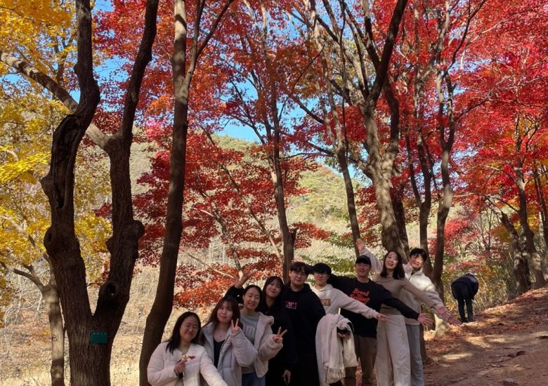 2025년 안양 서울대학교 수목원 단풍구경
